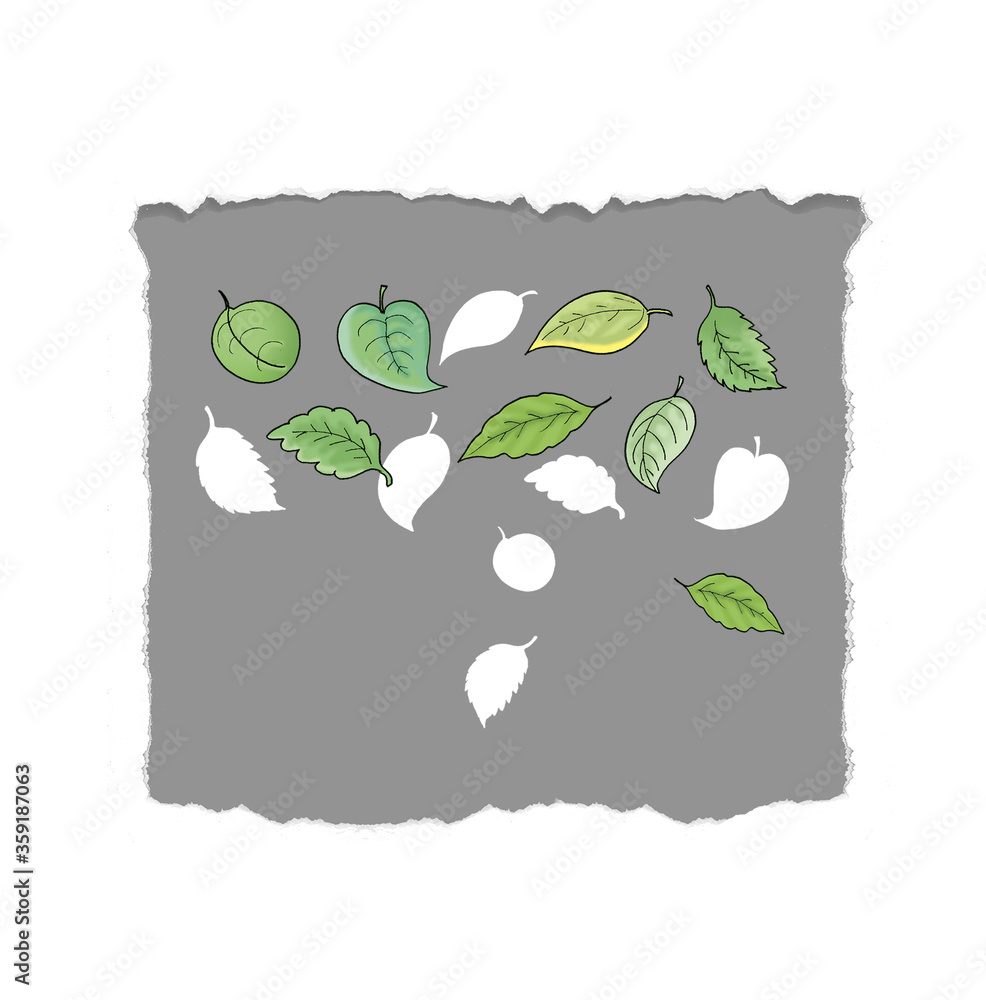 Naklejka premium leaf leaves in gray background