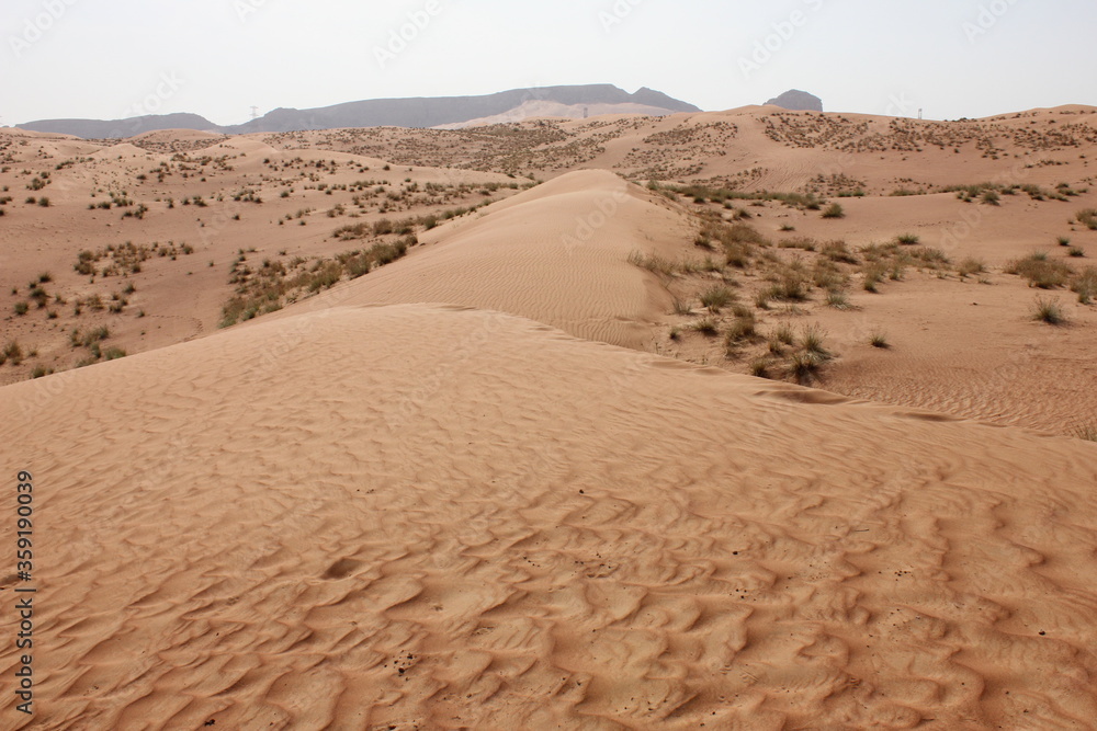 Hot and arid desert sand dunes terrain in Sharjah emirate in the United Arab Emirates. The oil-rich UAE receives less than 4 inches of rainfall a year and relies on water from desalination plants. Hot and arid desert sand dunes terrain in Sharjah emirate in the United Arab Emirates. The oil-rich UAE receives less than 4 inches of rainfall a year and relies on water from desalination plants.