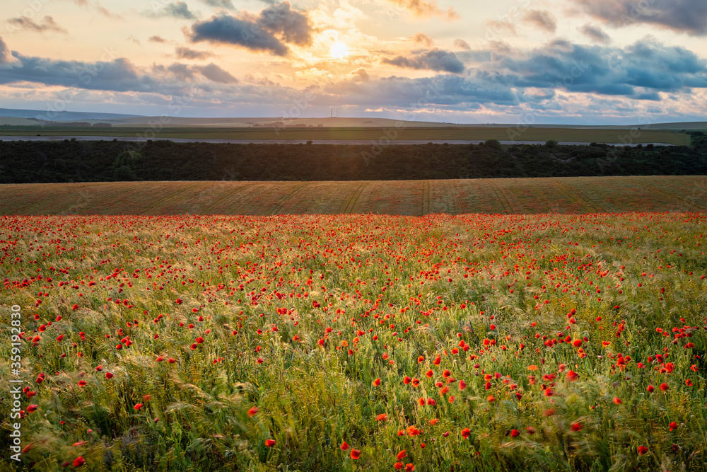 Epic landscape image of poppy field in English countryside during Summer sunset with beautiful sky and cloud formations