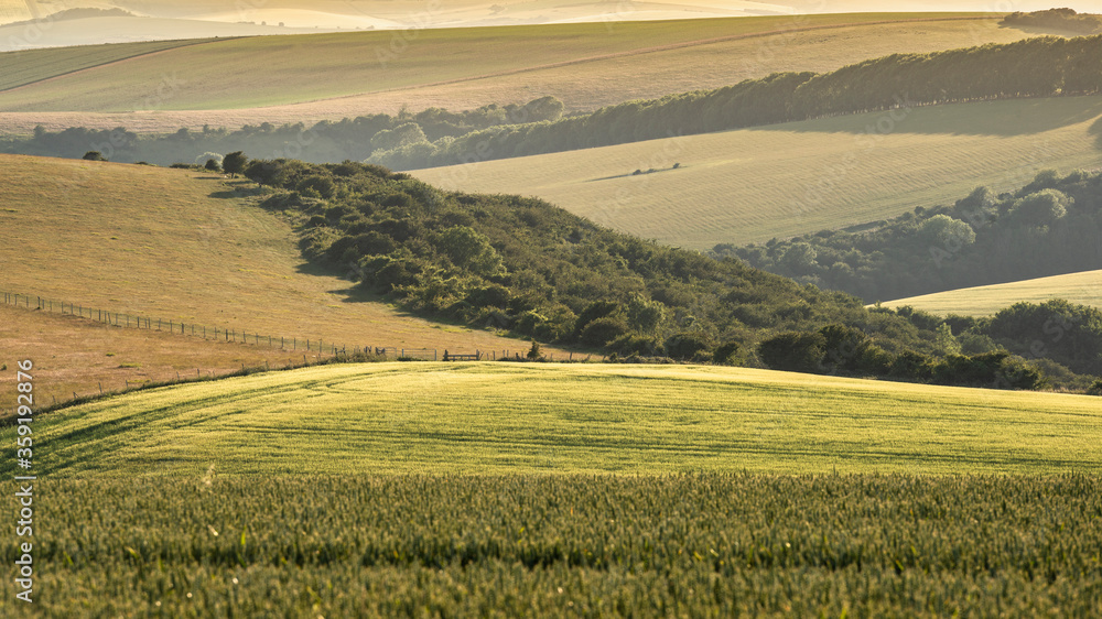 Stunning late Summer afternoon light over rolling hills in English countryside landscape with vibrant warm light