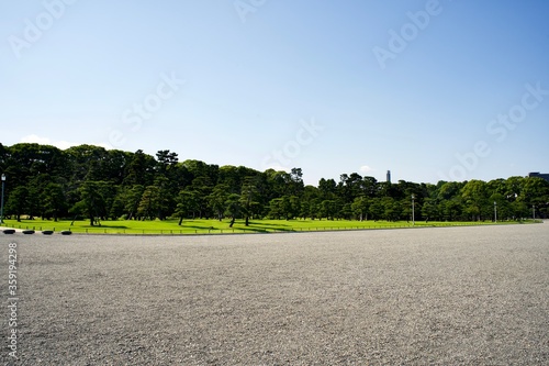 Gravel square and pine trees in Tokyo. photo