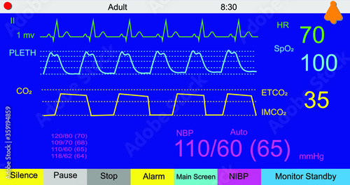 Vector illustration of vital sign monitoring screen display.
