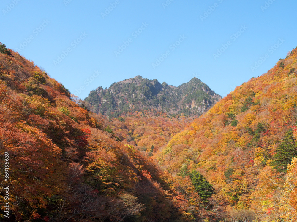 紅葉の西沢渓谷から見た鶏冠山