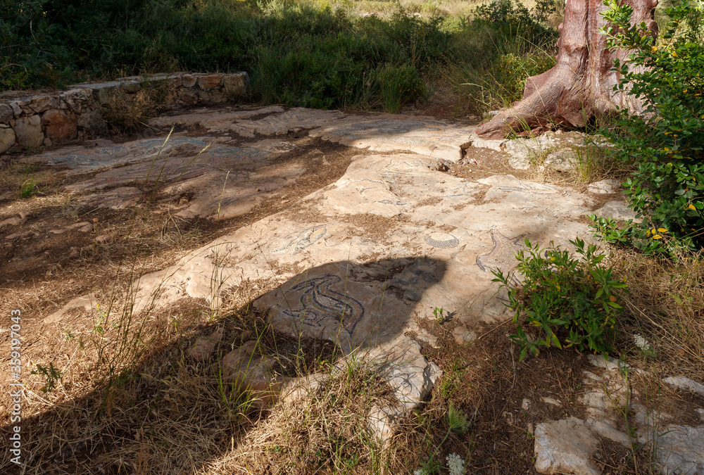Obraz premium Mosaic on the stones it in the Totem park in the forest near the villages of Har Adar and Abu Ghosh