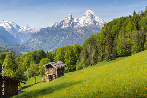 Obraz na płótnie Summer mountain scenery in the Alps with blooming meadows and traditional mountain cabin w salonie
