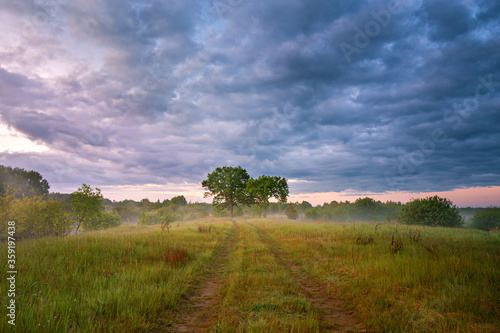 Overcast rainy clouds. Summer misty sunrise on meadow