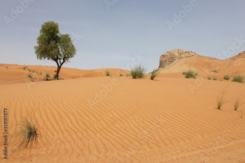 Hot and arid desert sand dunes terrain in Sharjah emirate in the United Arab Emirates. The oil-rich UAE receives less than 4 inches of rainfall a year and relies on water from desalination plants.