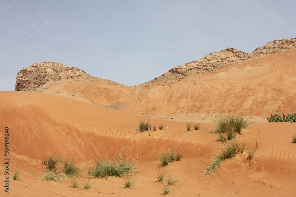 Hot and arid desert sand dunes terrain in Sharjah emirate in the United Arab Emirates. The oil-rich UAE receives less than 4 inches of rainfall a year and relies on water from desalination plants. Hot and arid desert sand dunes terrain in Sharjah emirate in the United Arab Emirates. The oil-rich UAE receives less than 4 inches of rainfall a year and relies on water from desalination plants.