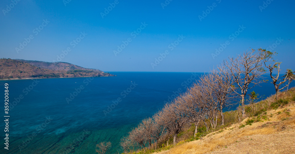 Obraz premium view of the coast of the sea
