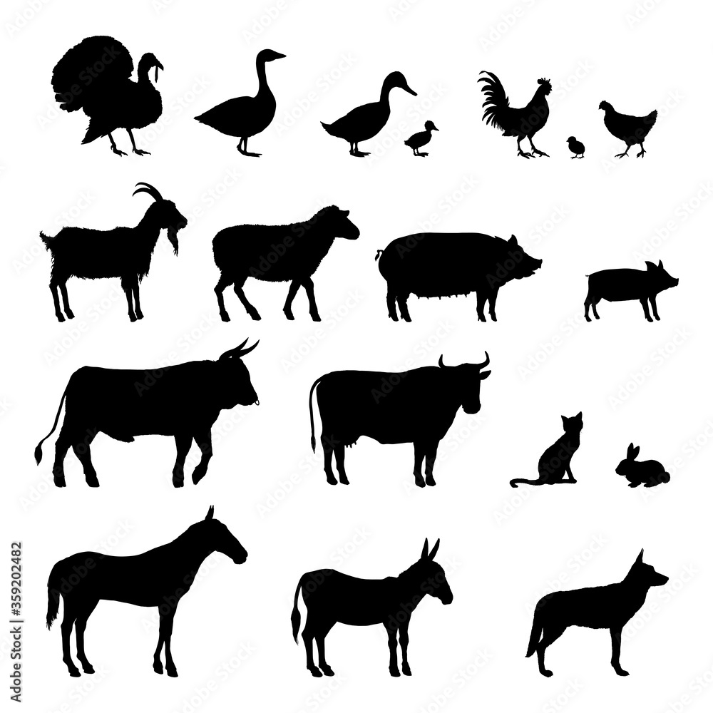 Vector Set of Farm Animals Silhouettes. Collection of Rustic Pets