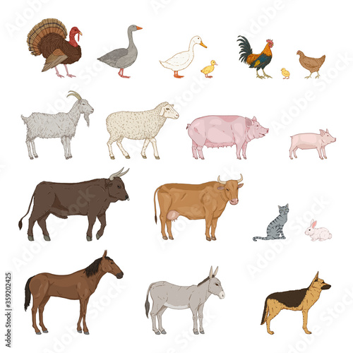 Vector Cartoon Set of Farm Animals