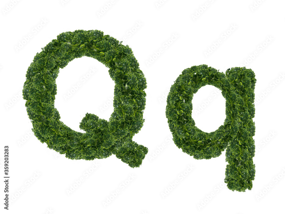 A letter made from the crown of a tree from the English alphabet. Isolated on a white background. Uppercase and lowercase letters Q and q. One of a series of illustrations. A letter made from the crown of a tree from the English alphabet. Isolated on a white background. Uppercase and lowercase letters Q and q. One of a series of illustrations.