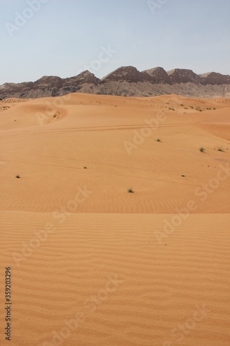 Hot and arid desert sand dunes terrain in Sharjah emirate in the United Arab Emirates. The oil-rich UAE receives less than 4 inches of rainfall a year and relies on water from desalination plants.