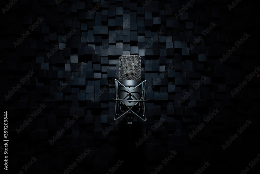 voice microphone on spider music record studio
