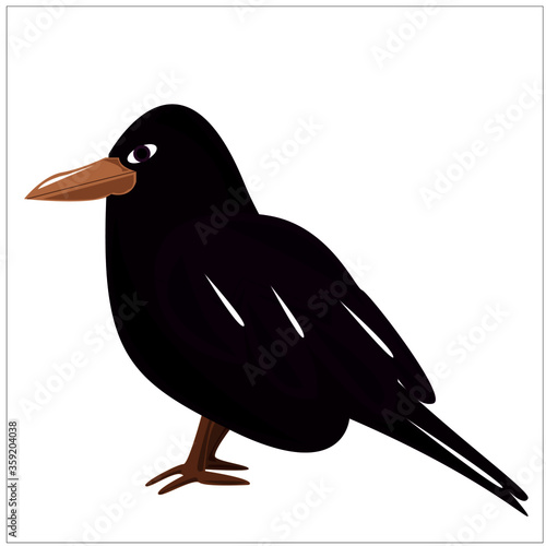 Rook arriving from the south
