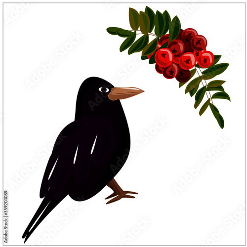 Rook arriving from the south