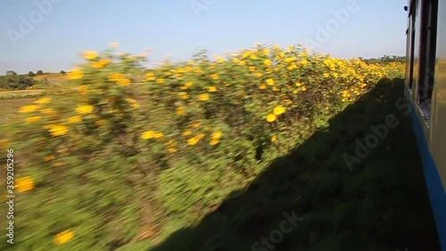 Train riding near Gokteik Gok Teik viaduct photo