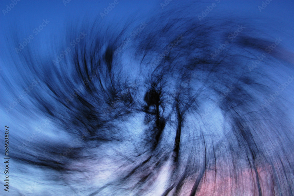 Obraz premium Tree branches vortex effect background
