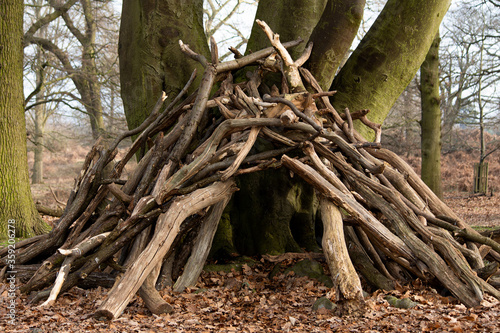 Photos A hideout in the woods