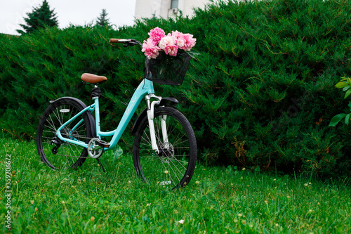 Vintage blue bike in greens with peonies. Summer. Greens. Flowers. Retro.