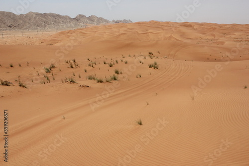 Hot and arid desert sand dunes terrain in Sharjah emirate in the United Arab Emirates. The oil-rich UAE receives less than 4 inches of rainfall a year and relies on water from desalination plants.