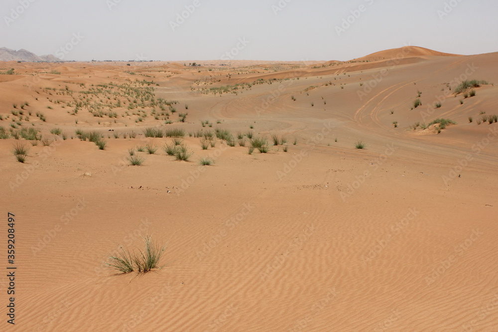 Hot and arid desert sand dunes terrain in Sharjah emirate in the United Arab Emirates. The oil-rich UAE receives less than 4 inches of rainfall a year and relies on water from desalination plants. Hot and arid desert sand dunes terrain in Sharjah emirate in the United Arab Emirates. The oil-rich UAE receives less than 4 inches of rainfall a year and relies on water from desalination plants.