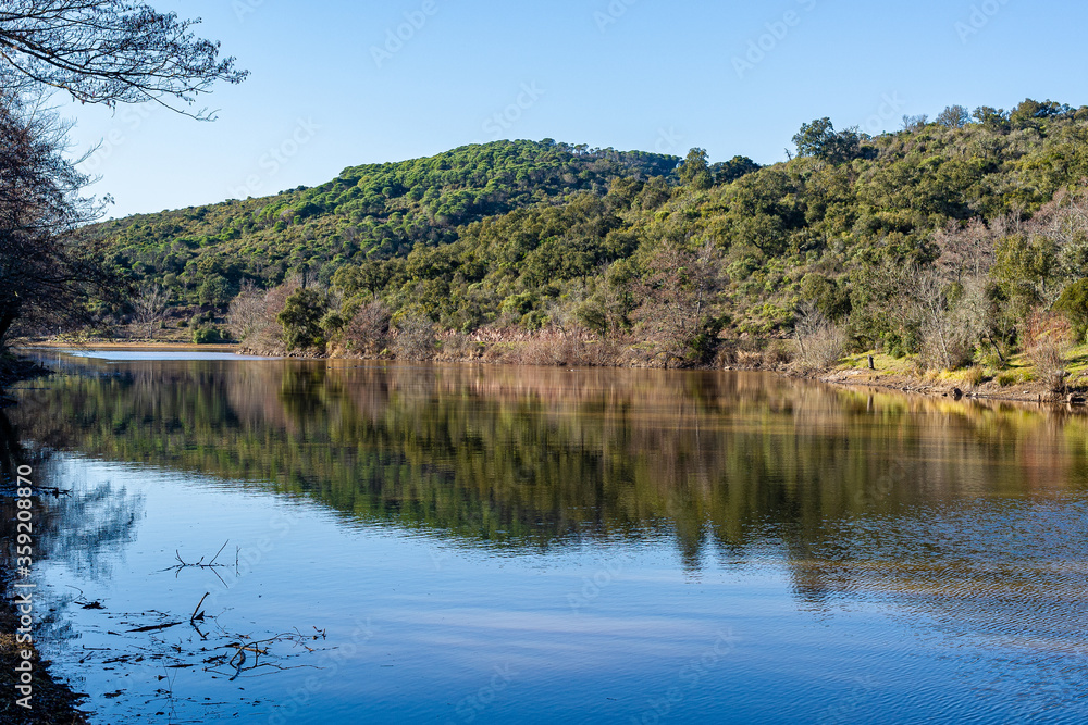 Reflections in the water of a small lake in the Esterel hills.