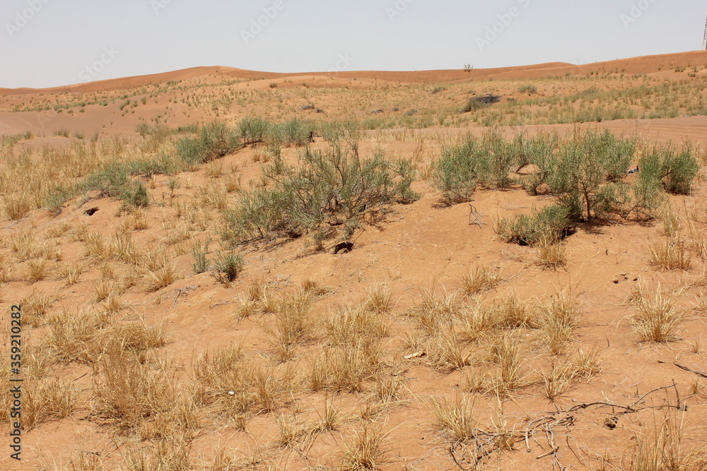 Hot and arid desert sand dunes terrain in Sharjah emirate in the United Arab Emirates. The oil-rich UAE receives less than 4 inches of rainfall a year and relies on water from desalination plants. Hot and arid desert sand dunes terrain in Sharjah emirate in the United Arab Emirates. The oil-rich UAE receives less than 4 inches of rainfall a year and relies on water from desalination plants.