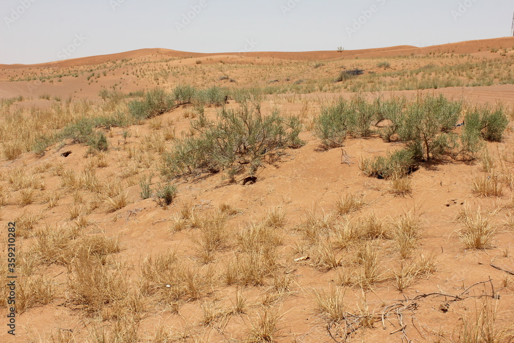 Hot and arid desert sand dunes terrain in Sharjah emirate in the United Arab Emirates. The oil-rich UAE receives less than 4 inches of rainfall a year and relies on water from desalination plants.