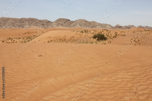 Hot and arid desert sand dunes terrain in Sharjah emirate in the United Arab Emirates. The oil-rich UAE receives less than 4 inches of rainfall a year and relies on water from desalination plants.