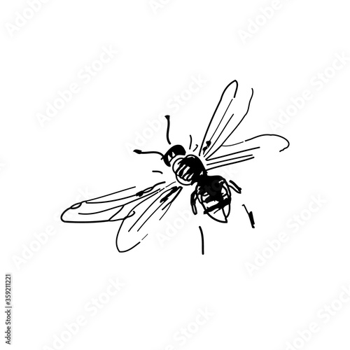 Freehand sketch of a flying bee, drawn in black pen and digitized, isolated on white background.