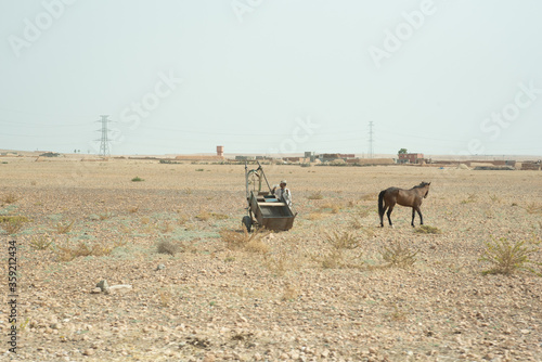 Fototapeta Naklejka Na Ścianę i Meble -  Man and horse in rural field in Morocco