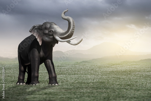 elephant in the sunset