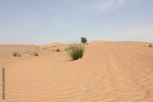 Hot and arid desert sand dunes terrain in Sharjah emirate in the United Arab Emirates. The oil-rich UAE receives less than 4 inches of rainfall a year and relies on water from desalination plants. photo