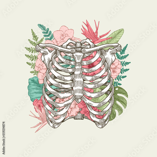 Exotic florals vintage rib cage illustration. Floral anatomy