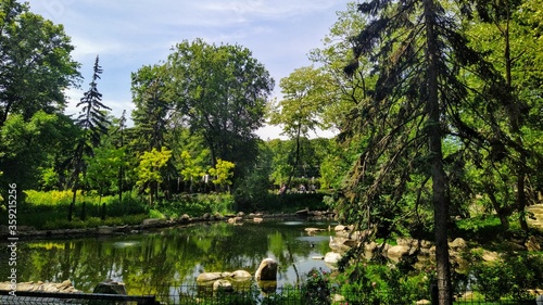 Beautiful garden with pond in city zoo