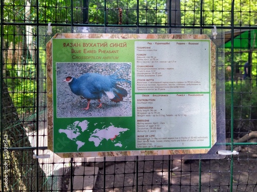 Info of blue eared pheasant on info board in zoo