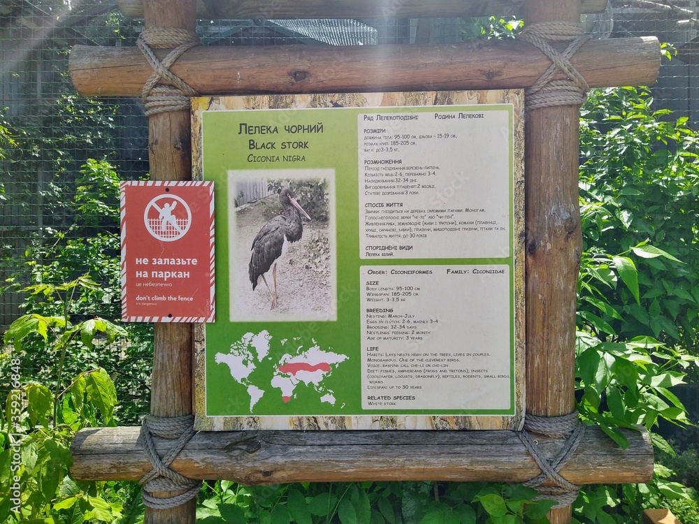 Obraz premium Information of black stork on info board in zoo