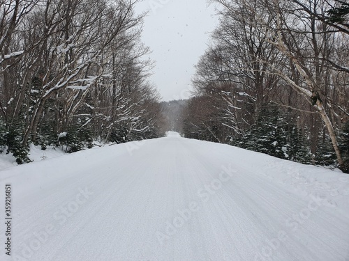 Shiretoko in winter