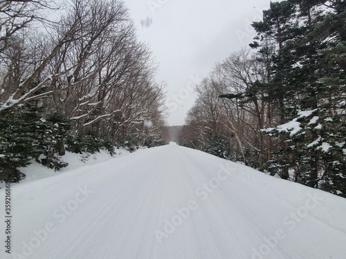 Shiretoko in winter