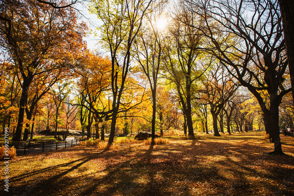 Autumn in Central Park, New York City Autumn in Central Park, New York City