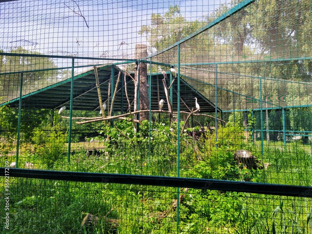 Aviary with in city zoo, Kyiv, Ukraine