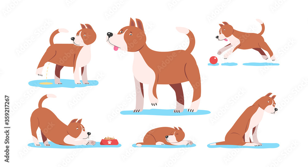 Collection of funny dog playing, sleeping, lying, sitting. Set of cute and amusing cartoon pet animals isolated on white background. Colorful illustration in flat style