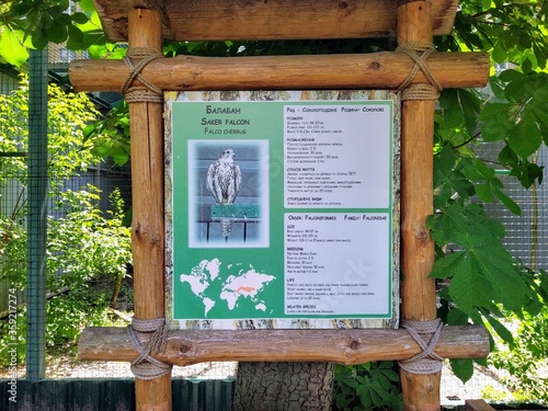 Information of saker falcon on info board in city zoo photo