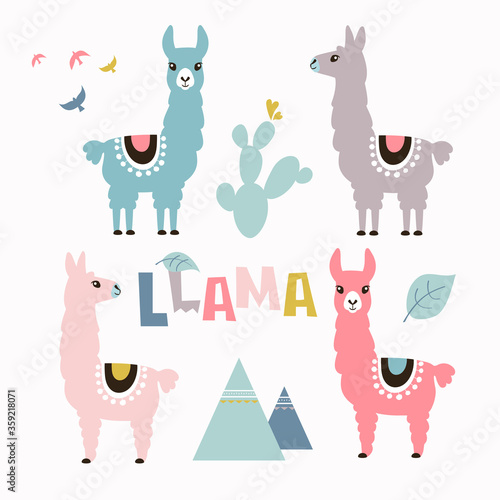 Llama, alpaca collection, cute illustration and design for nursery design, poster, birthday or greeting card.Vector set