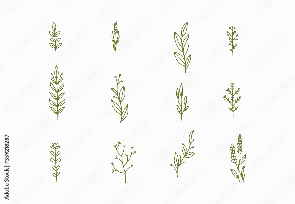 Simple Botanical tiny simple botanical illustrations, line artwork, minimal design ...