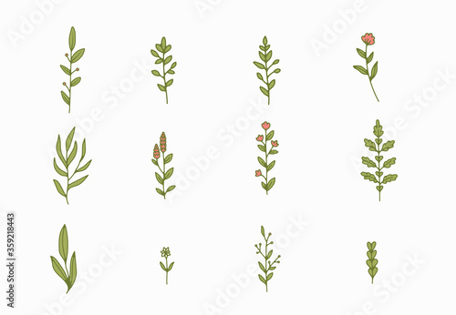 tiny simple botanical illustrations, line artwork, minimal design elements. elegant and delicate plant doodles for branding, wedding invitation, graphic design. spring floral clip art , feminine art