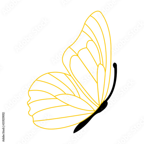 Canvas Print butterfly