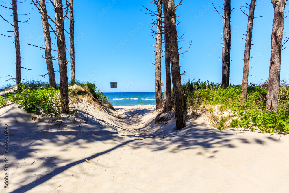 Entrance from forest to beautiful beach near Kolobrzeg, Baltic Sea coast, Poland Entrance from forest to beautiful beach near Kolobrzeg, Baltic Sea coast, Poland