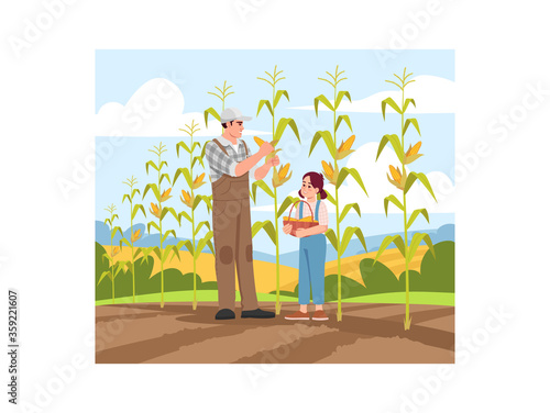Collecting corn harvest semi flat vector illustration. Local production of fresh vegetable. Activity for family on ranch. Father and daughter 2D cartoon characters for commercial use